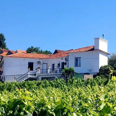 Casa Ceci Douro Villa Cidadelhe  Exterior photo