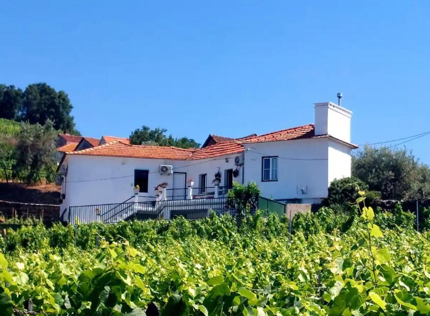 Casa Ceci Douro Villa Cidadelhe  Exterior photo